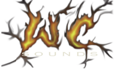 WC Sounds | Event Productions | Venice, FL